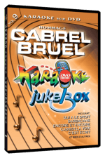 Chanson Karaoke sur DVD - Grands Succès Francophones Vol. #9