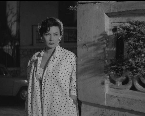 themetidy-paira-framework-disco-responsive-html-template-performer-3