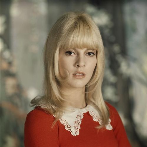 themetidy-paira-framework-disco-responsive-html-template-performer-3